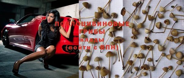 дмт Абинск