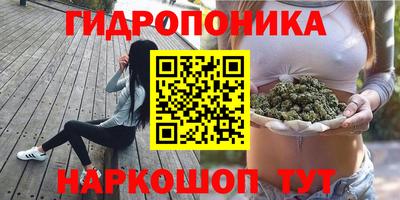 эйфоретик Сосновый Бор