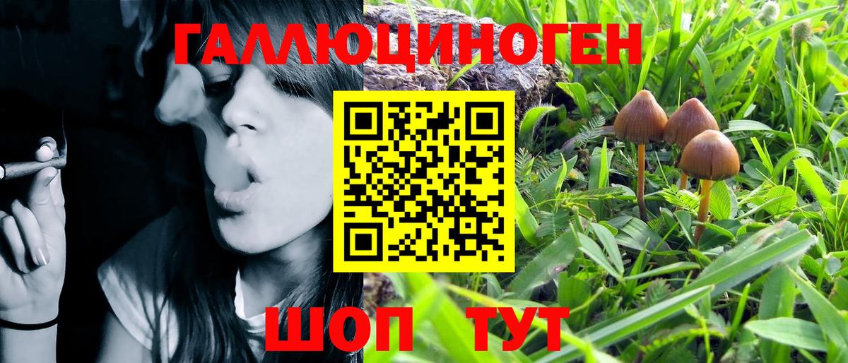 Псилоцибиновые грибы Psilocybine cubensis  Псилоцибиновые грибы MAGIC MUSHROOMS  Вход с VPN  Сызрань 